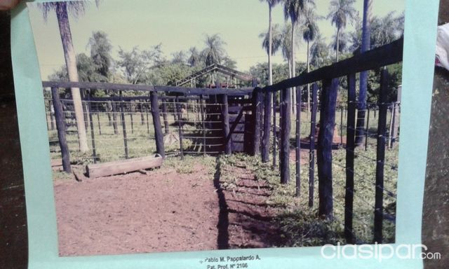 VENDO GRANJA AVICOLAPORCINAGANADERA — foto 3