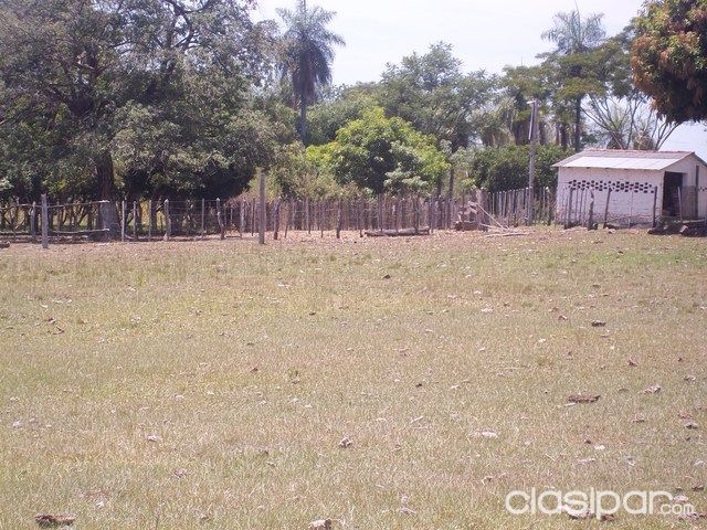 VENDO QUINTA DE 13 has (HECTÁREAS)!! TARUMANDY (8° COMPAÑIA LUQUE) — foto 2