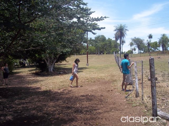 VENDO QUINTA DE 13 has (HECTÁREAS)!! TARUMANDY (8° COMPAÑIA LUQUE) — foto 3