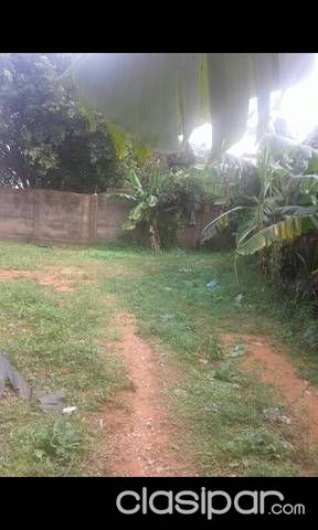 Vendo tinglado — foto 3