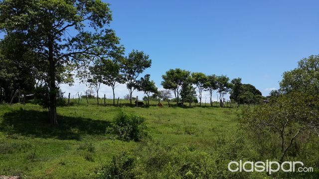 TERRENO CON CASA DE MADERA EN VENTA — foto 2