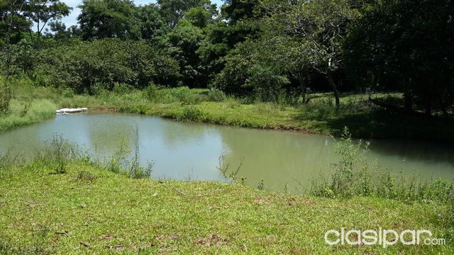 TERRENO CON CASA DE MADERA EN VENTA — foto 3