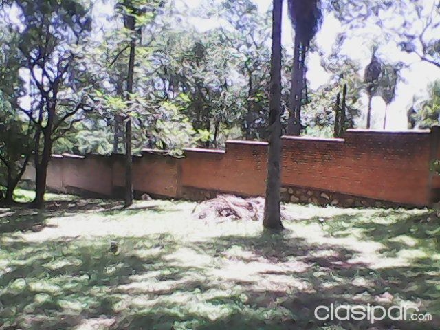 Adquiera un lugar ideal para descansar — foto 2