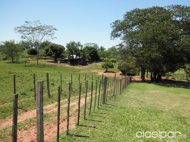 Cerca de Coronel Oviedo Campo bien cuidado — foto 2