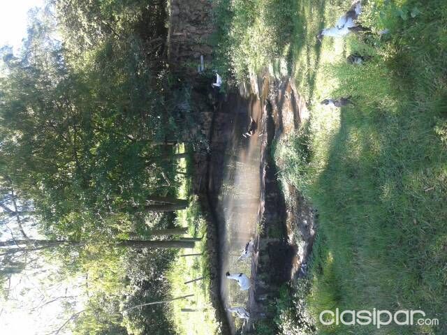 Vendo 7 Has. en Piribebuy — foto 2