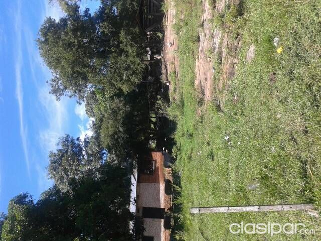 Vendo 7 Has. en Piribebuy — foto 3
