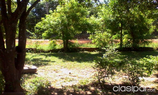 Vendo terreno Coronel Oviedo — foto 2