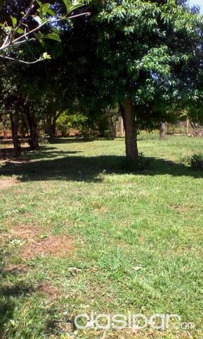 Vendo terreno Coronel Oviedo — foto 3