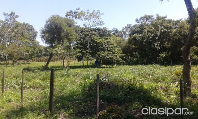VENDO 5 TERRENOS JUNTOS — foto 2