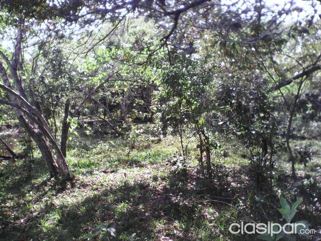 2 hectareas de terrereno entre Piribebuy y Eusebio Ayala — foto 2