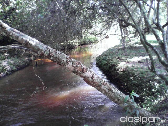 2 hectareas de terrereno entre Piribebuy y Eusebio Ayala — foto 3