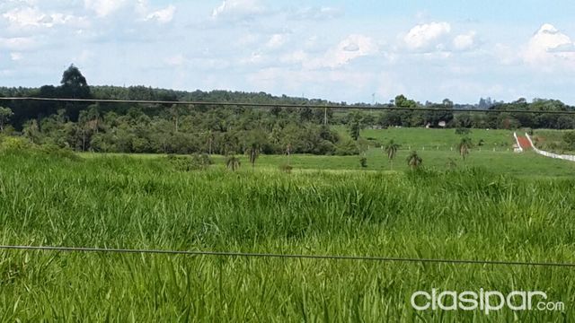 VENDO HERMOSA GRANJA DE 12 HAS EN LA FORTUNA — foto 3