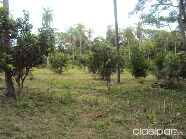 Ofertazo de 19 Hectareas en Moñairy, Atyra — foto 3