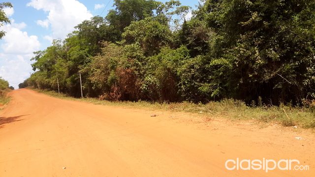 ATENCIONNNN CORONEL OVIEDO!!!! TERRENO HERMOSO — foto 2
