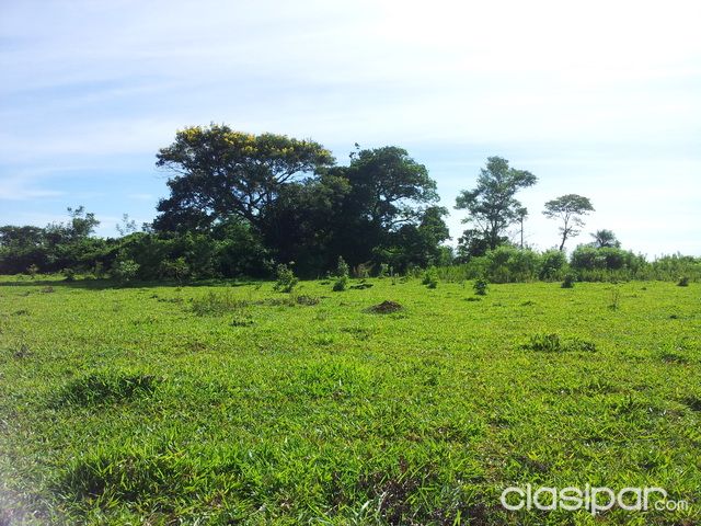 Terreno de 25 Hectareas — foto 2