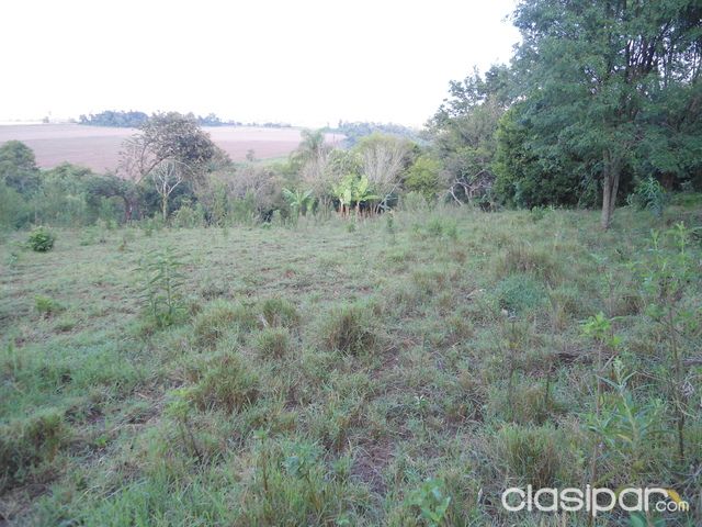 Vendo esta hermosa propiedad de 4 has. con nacientes de agua. — foto 3