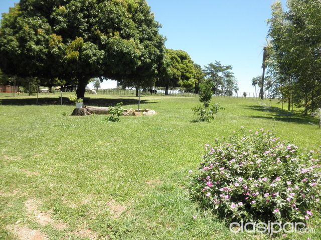 Cerca de Coronel Oviedo Campo bien cuidado — foto 3