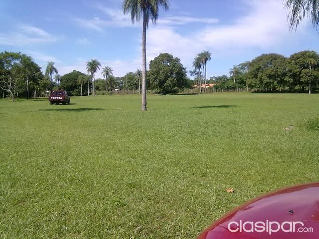 VENDO TERRENO ENTRE LIMPIO Y LUQUE — foto 2