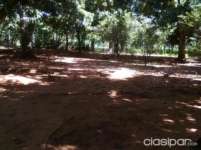 VENDO TERRENO ENTRE LIMPIO Y LUQUE — foto 3