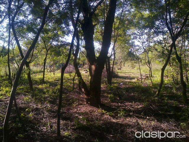 VENDO 12 TERRENOS 4320 m2. 13.000.000GS — foto 2