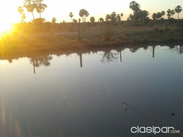 VENDO INMUEBLE RURAL RUTA 12 - GRAL. BRUGUEZ - DPTO. PDTE. HAYES — foto 3