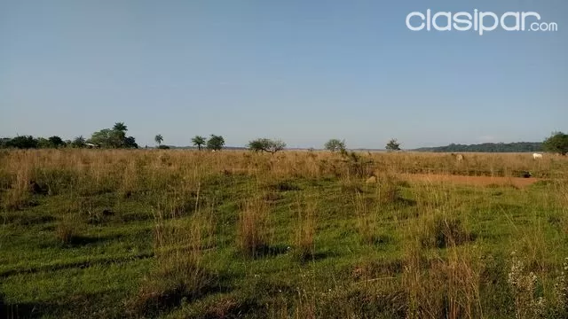 Terreno 8 hectareas — foto 2