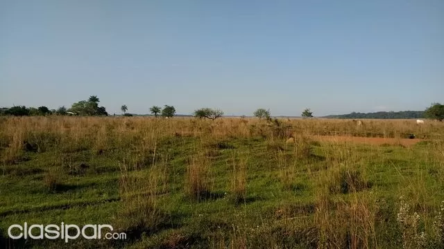 Terreno 8 hectareas — foto 3
