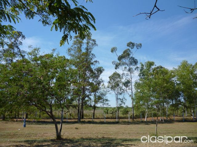 VENDO UNA PROPIEDAD EN LA CIUDAD DE AYOLAS — foto 2