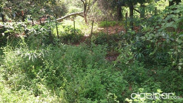 VENDO DOS TERRENOS JUNTOS EN ITAUGUA KM 28 — foto 2