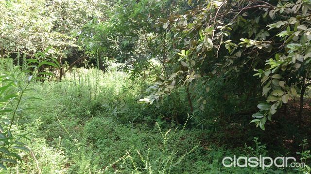 VENDO DOS TERRENOS JUNTOS EN ITAUGUA KM 28 — foto 3