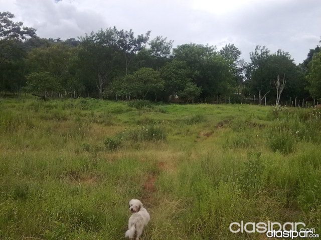 VENDO CASA CON 8 HECTAREAS DE TERRENO EN ATYRA CORDILLERA — foto 2