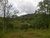 VENDO CASA CON 8 HECTAREAS DE TERRENO EN ATYRA CORDILLERA — foto 3