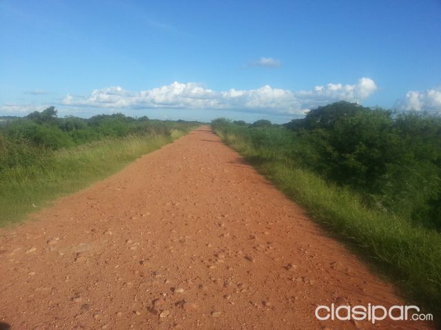 terreno de 6 hectareas en Alberdi!! — foto 2