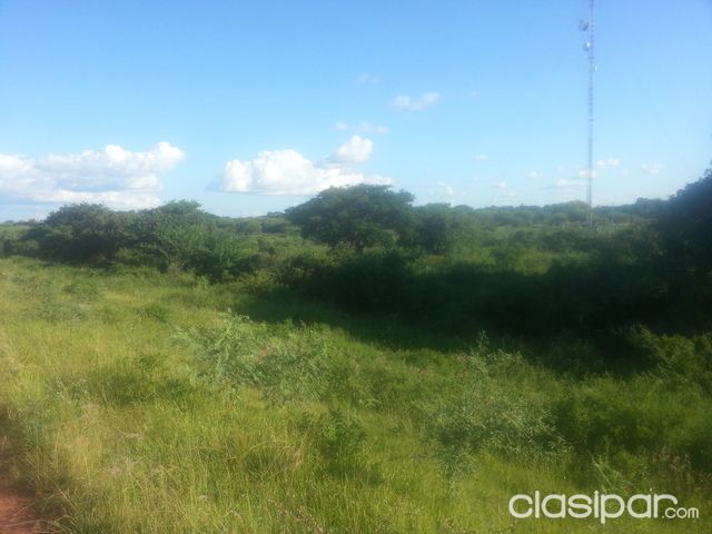 terreno de 6 hectareas en Alberdi!! — foto 3