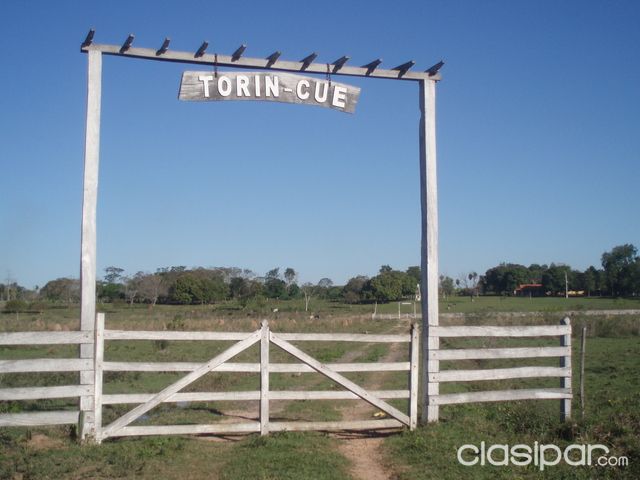 VENDO FINCA 9 HECTAREAS CON CASA DE MATERIAL — foto 3