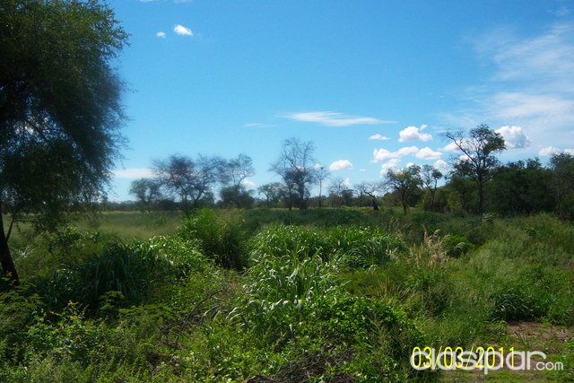 Vendo Campo Formado en el Chaco — foto 2