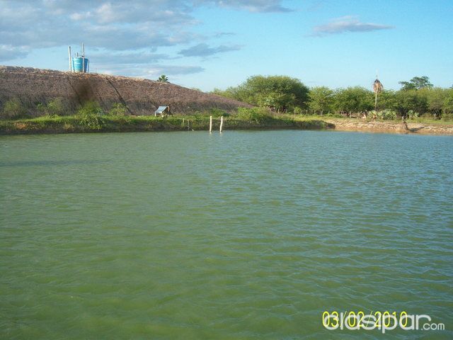 Vendo Campo Formado en el Chaco — foto 3