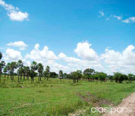 VENDO LOTE 12*30 EN CHACO`I — foto 2