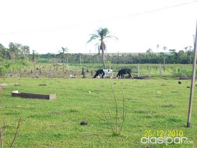 Vendo granja en km 41 yguazu — foto 3