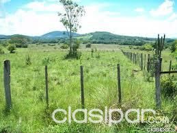 sapucai campo majestuoso — foto 2