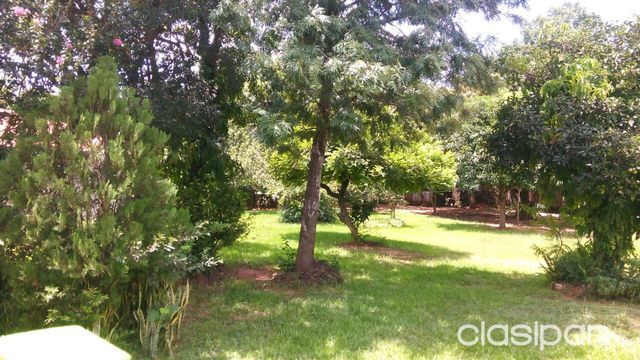 VENDO CASA CON ENORME Y HERMOSO PATIO TERRENO DE 1313 m2 — foto 3