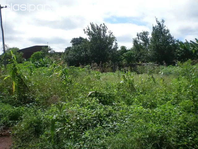VENDO HERMOSO TERRENO EN HOHENAU - RECIBO VEHICULO A CUENTA — foto 2
