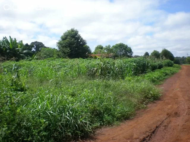 VENDO HERMOSO TERRENO EN HOHENAU - RECIBO VEHICULO A CUENTA — foto 3
