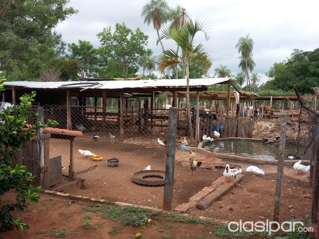***** Vendo propiedad en capiata ruta 2 ***** — foto 3