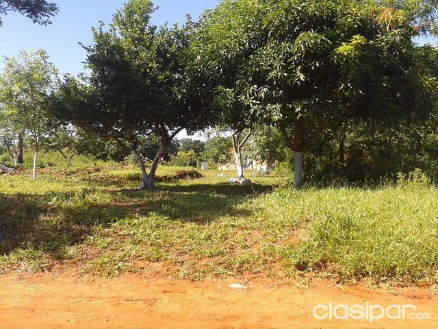 Un terreno en Capiata Ruta 1 — foto 2