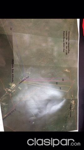 Más de 6000 hectáreas a 330 dólares la hectárea en el Chaco — foto 3