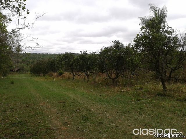 Vendo Hermosa granja de 25 hect. en Atyra con arroyo!!! — foto 3