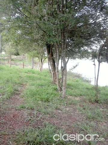 Vendo terreno al costado del lago km 12 Acaray — foto 2