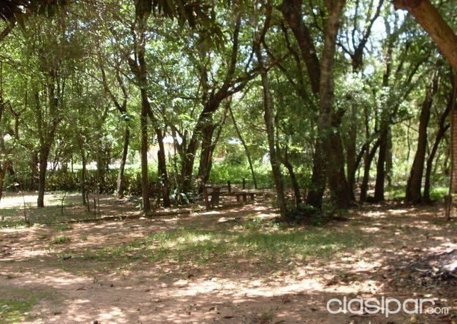Vendo hermosa CASA QUINTA, dos plantas en San Bernardino centro.Propiedad de 3500 m2 de terreno en esquina. — foto 3