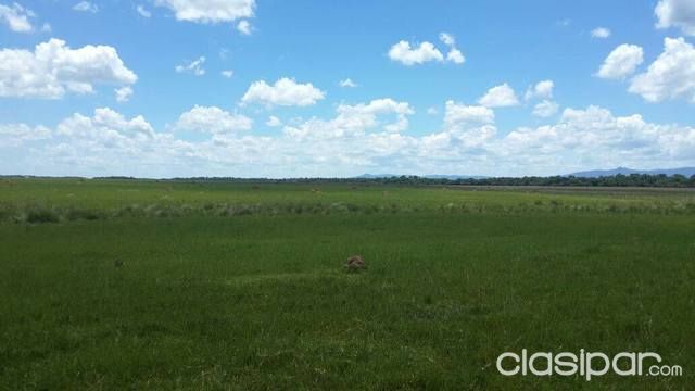 Vendo > 5.224 HAS en Mariscal Estigarríbia, sobre ruta trans chaco, 550 km de Asunción actualmente campo ganadero, se puede mecani — foto 2